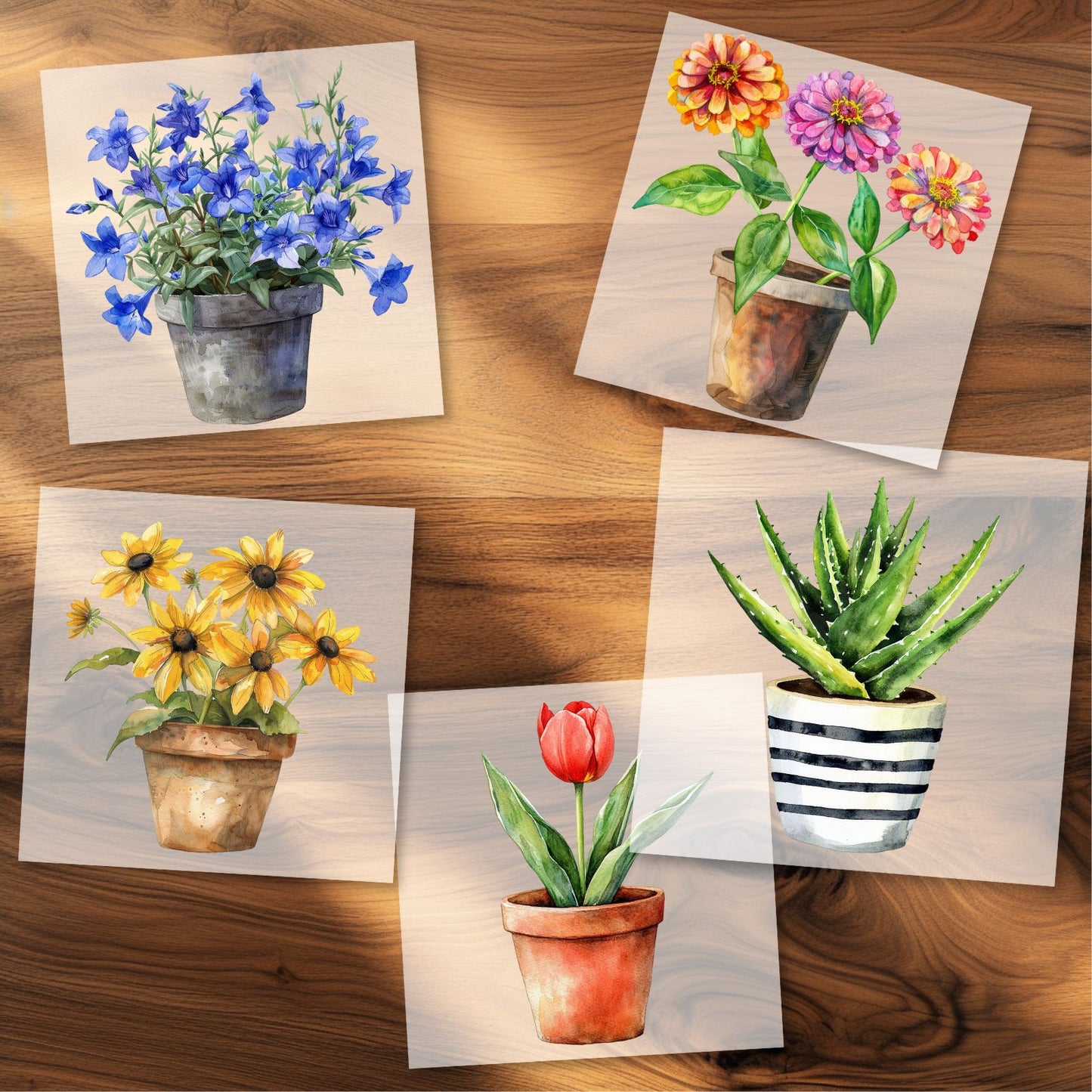 Blumen Bügelbilder