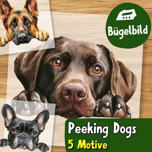 Neugierige Hunde 5 Motive Bügelbild