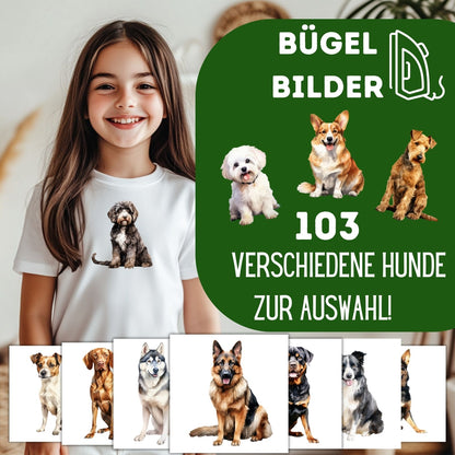 Hunderassen Bügelbilder, 103 Verschiedene Hunde