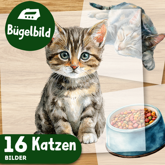 Katzen Bügelbild