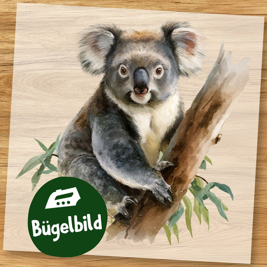Koala Bügelbild