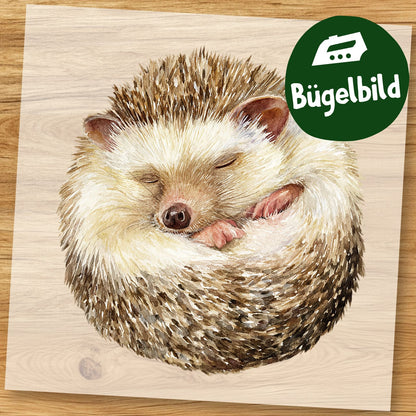Igel am Schlafen Bügelbild