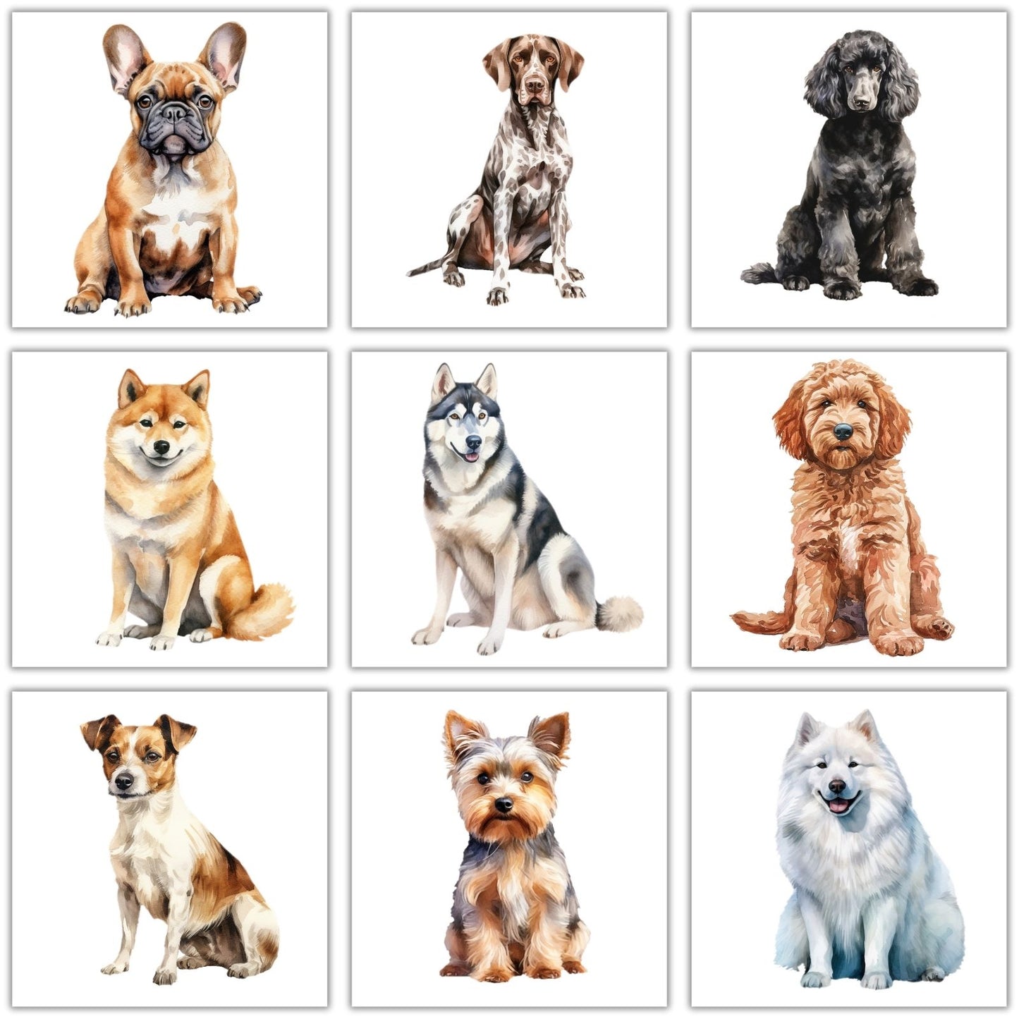 Hunderassen Bügelbilder, 103 Verschiedene Hunde