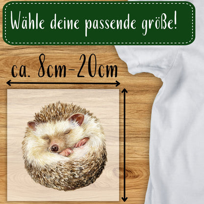 Igel am Schlafen Bügelbild