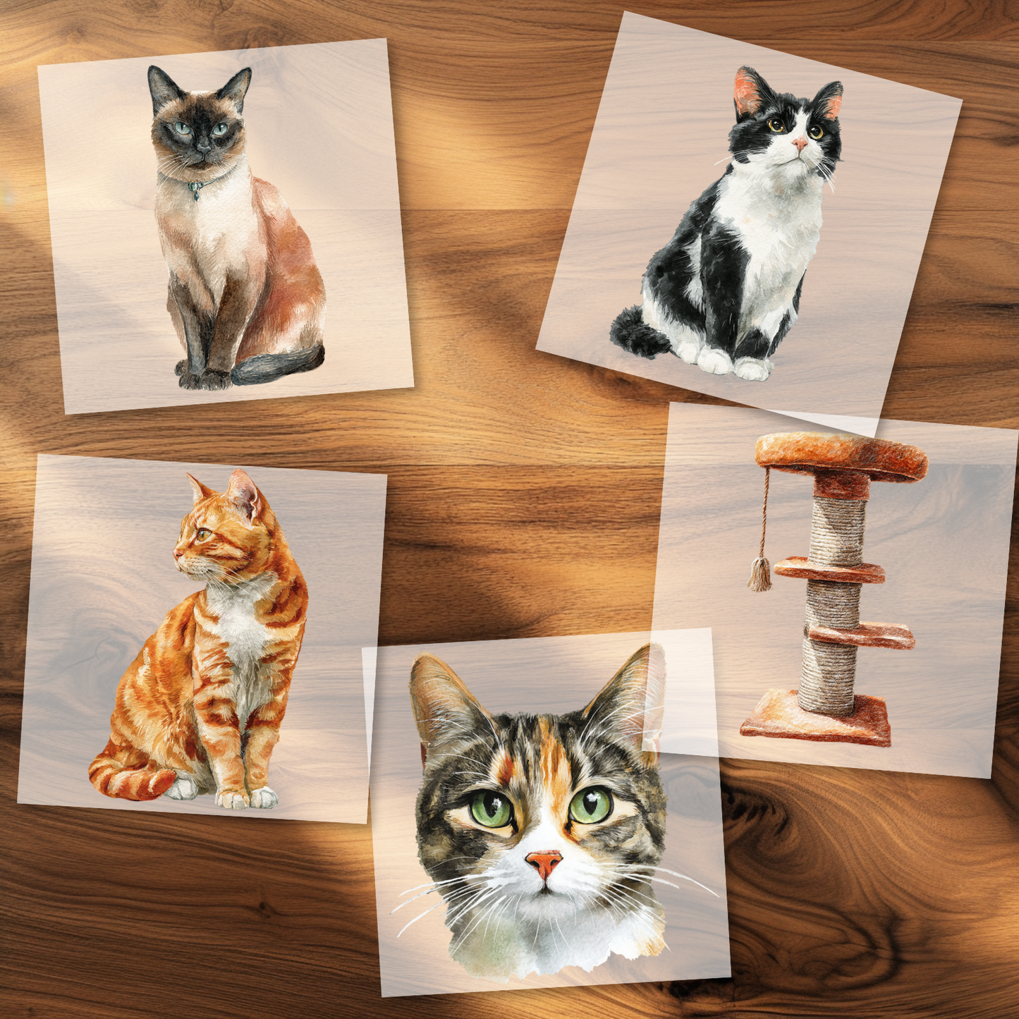 Katzen Bügelbild