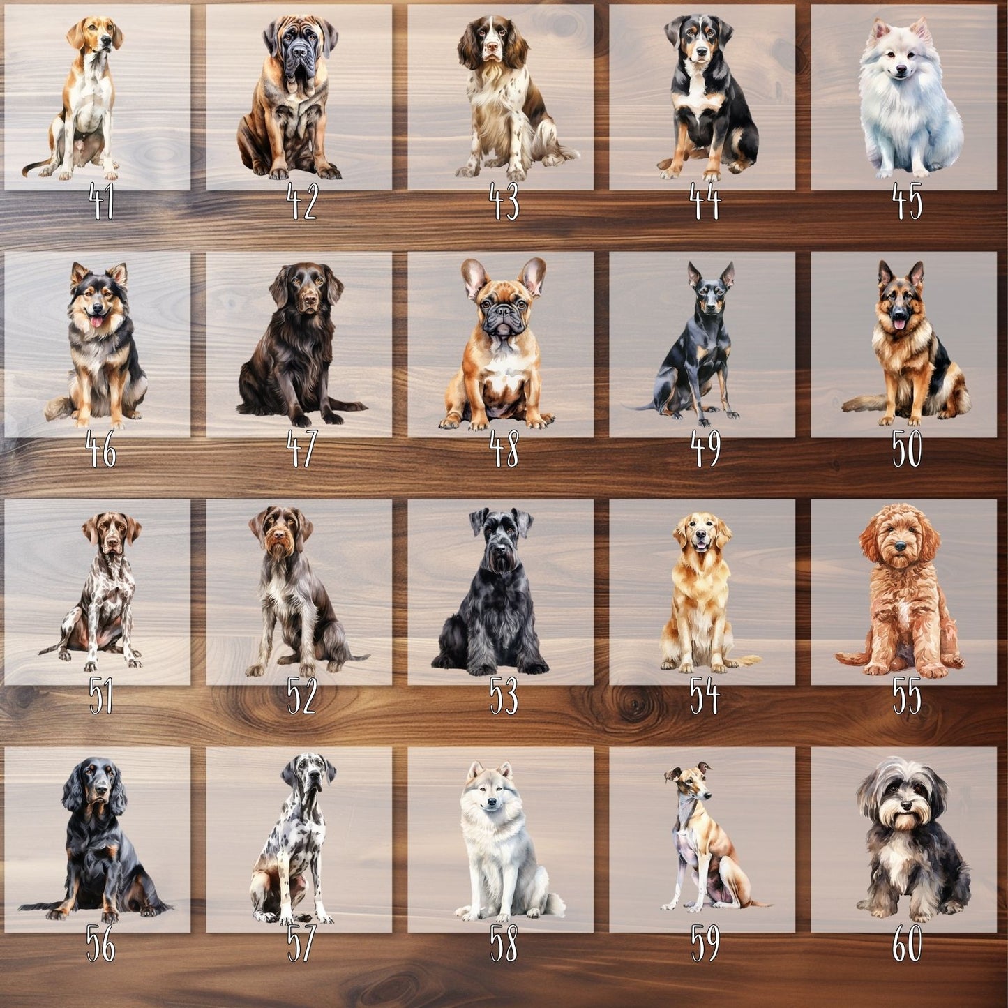 Hunderassen Bügelbilder, 103 Verschiedene Hunde