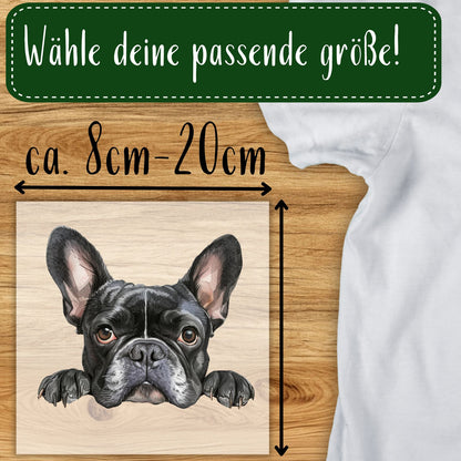Neugierige Hunde 5 Motive Bügelbild