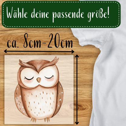 Niedliche Eule Bügelbild
