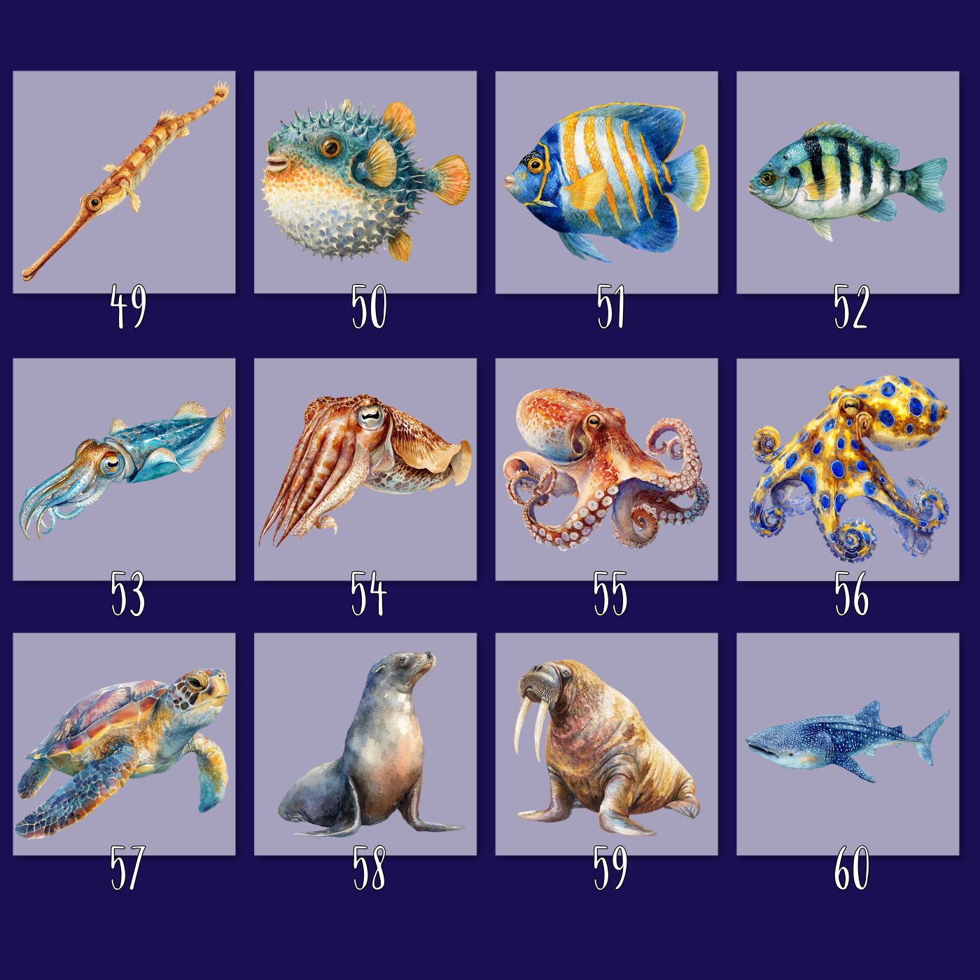 Sea Life Bügelbilder - 90 Motive Meerestiere